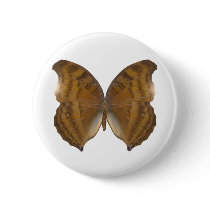 BeechWing Butterfly Pinback Button
