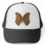 BeechWing Butterfly Hats