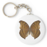 BeechWing Butterfly Key Chains