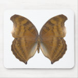 BeechWing Butterfly Mousepads