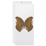 BeechWing Butterfly Rack Card Design