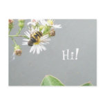 Beefly, Hi! Postcard