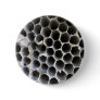 BeeHive 01 Pins