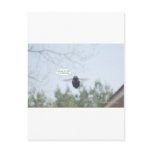 BEEJPG POST CARD