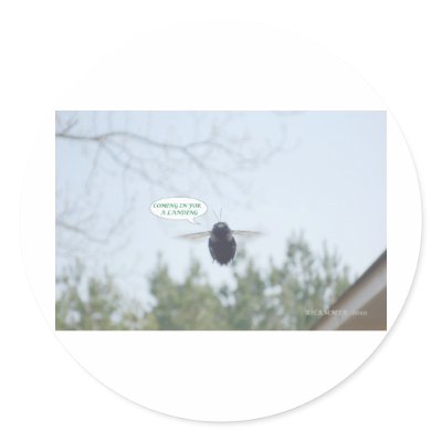 BEEJPG STICKER by BHAMMER3
