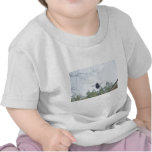 BEEJPG T SHIRTS