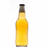 Beer Bottle Sculpture Photo Sculpture