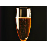 Beer Glasses Bubbles photo sculptures
