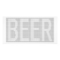 Beer in Binary - ASCII