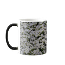 Bee's Blanket Mugs