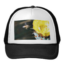 Bees Cactus Flowers Trucker Hats