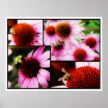 Bees & Cones posters