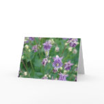 Bee's Eye View Cards