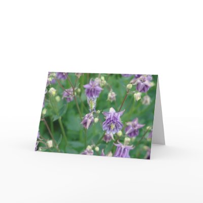 Bee's Eye View Notecard by skeri83