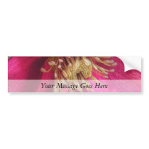 Bee's Eye View Of A Spring Hellebore Blossom Bumper Stickers