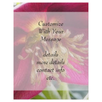 Bee's Eye View Of A Spring Hellebore Blossom Personalized Flyer