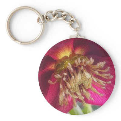 Bee's Eye View Of A Spring Hellebore Blossom Keychains by Pretty_World