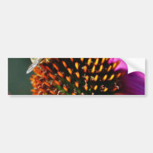 Bees Flowers Macro Bumper Stickers
