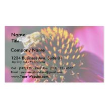 Bees Flowers Macro Business Card Template