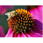 Bees Flowers Macro photo sculptures
