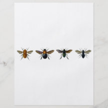 Bees Flyers