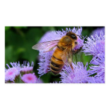 Bees for Sale Business Cards