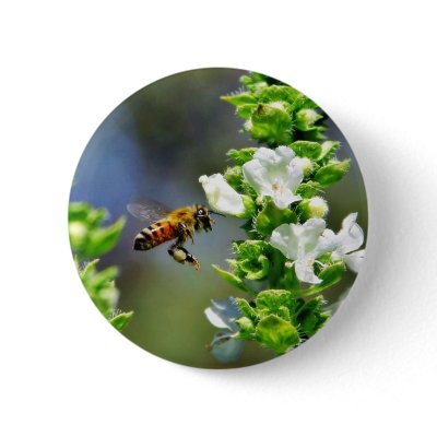 Bees Fying Flight Wings Pin by lifesphere