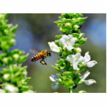 Bees Fying Flight Wings Photo Sculptures