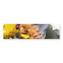 Bees Insects 3 Bumper Stickers