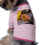 Bees Insects 3 Pet Tshirt