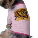 Bees Insects pet clothing
