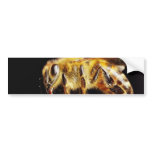 Bees Insects Marco bumper stickers