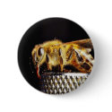 Bees Insects Marco buttons