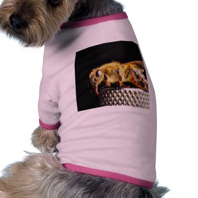 Bees Insects Marco Dog Tee Shirt by lifesphere