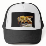 Bees Insects Marco hats