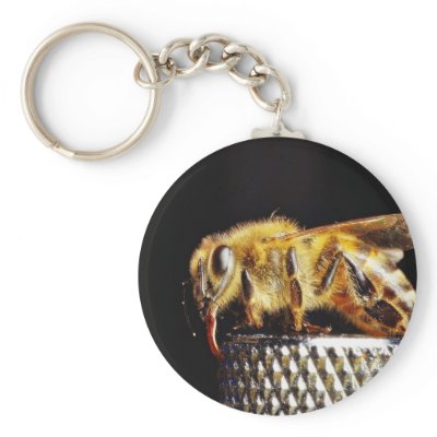 Bees Insects Marco Key Chain by lifesphere