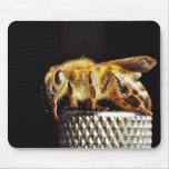 Bees Insects Marco mousepads