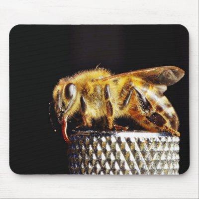 Bees Insects Marco Mousepad by lifesphere