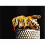 Bees Insects Marco photo sculptures