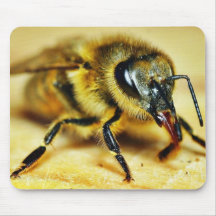 Bees Insects Mouse Pads