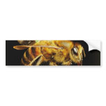 Bees Insects Wings Insects Bugs Bumper Sticker