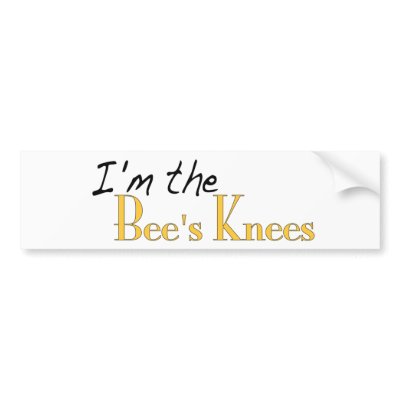 Bee'S Knees by worldsfair
