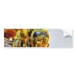 Bees Macro Pollen Insects Bumper Stickers