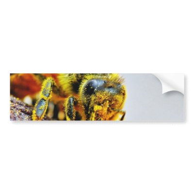 Bees Macro Pollen Insects Bumper Stickers by lifesphere