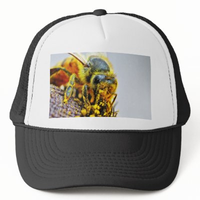 Bees Macro Pollen Insects Mesh Hat by lifesphere