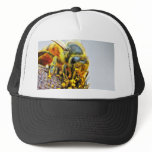 Bees Macro Pollen Insects hats