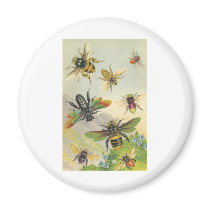 Bees Fridge Magnet