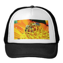 Bees On Flowers Collecting Pollen Hat