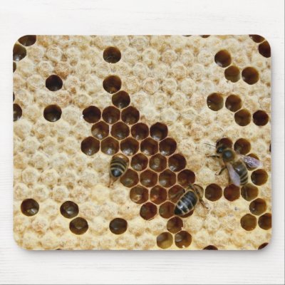 Bees On Honey Comb Mousepad by sallemange