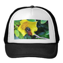 Bees On Yellow Flowers Pollen Trucker Hats